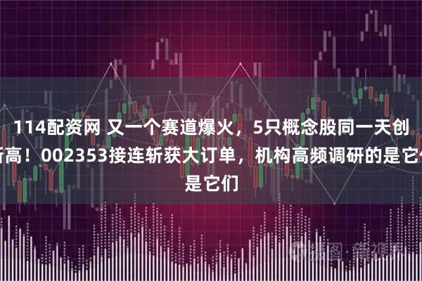 114配资网 又一个赛道爆火，5只概念股同一天创新高！002353接连斩获大订单，机构高频调研的是它们