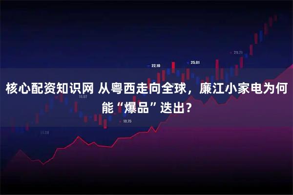 核心配资知识网 从粤西走向全球，廉江小家电为何能“爆品”迭出？