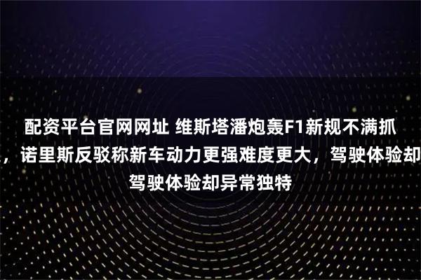 配资平台官网网址 维斯塔潘炮轰F1新规不满抓地力倒退，诺里斯反驳称新车动力更强难度更大，驾驶体验却异常独特
