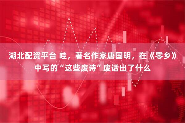 湖北配资平台 哇，著名作家唐国明，在《零乡》中写的“这些废诗”废话出了什么