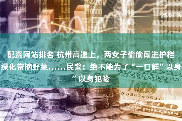 配资网站排名 杭州高速上，两女子偷偷闯进护栏边的绿化带摘野菜……民警：绝不能为了“一口鲜”以身犯险